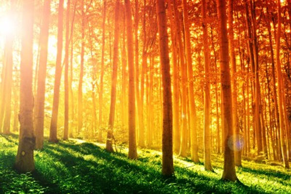 5 Amazing Properties of Sunlight You've Never Heard About