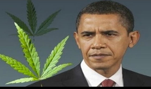 Obama Throwing Medical Marijuana Patients Into Federal Prison at Alarming Rate