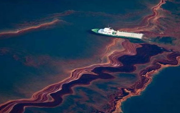 The BP Oil Spill Conspiracy