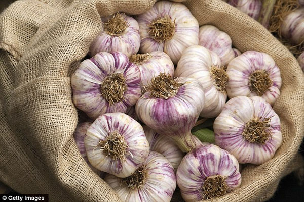Will 50 cloves of garlic kill your cold — or just your love life Pungent foodstuff may hold key to beating winter illness