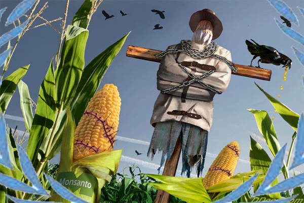 Monsanto Formally Joins Global Agenda 21 Front Group