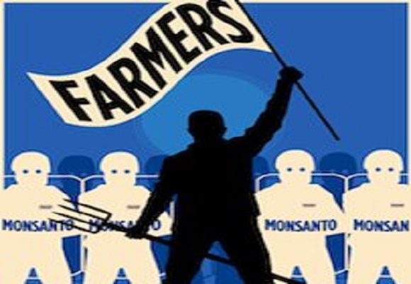 Monsanto takes home $23mln from small farmers, seeks to maintain 'seed oligarchy'