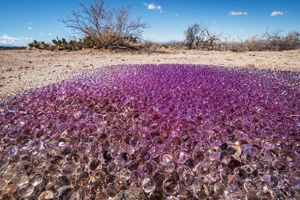 Mysterious, purple spheres found in the desert