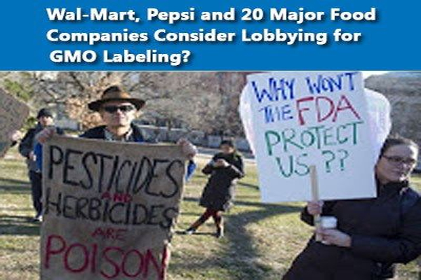 Wal-Mart, Pepsi and 20 Major Food Companies Consider Lobbying for GMO Labeling