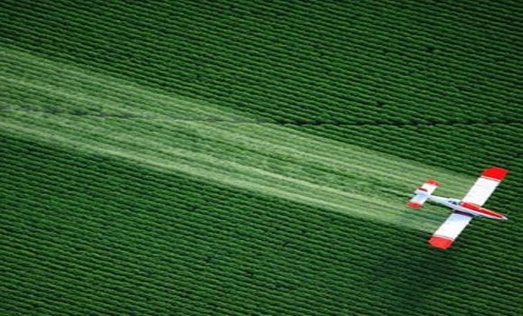 4 New Reasons to Avoid Pesticides