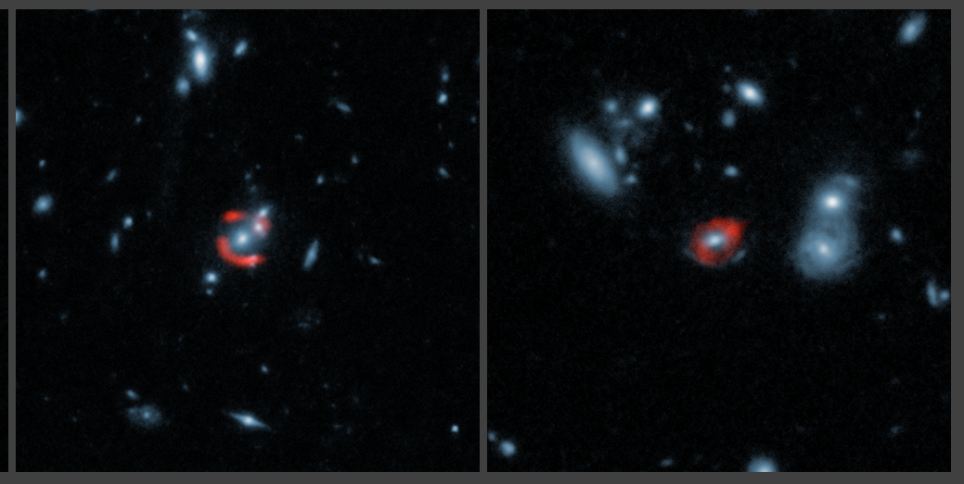 ALMA images of gravitationally-lensed distant star-forming galaxies