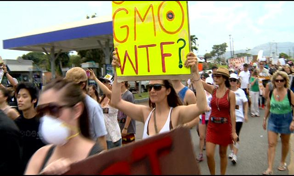 Hundreds march against GMOs in Hawaii