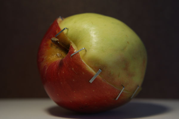 Poison Apples “Organic” Fruit can be Tainted by Antibiotics until Fall 2014
