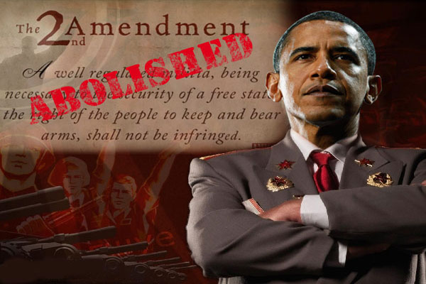 Video Democrat Admits Obama Agenda Is Total Gun Ban