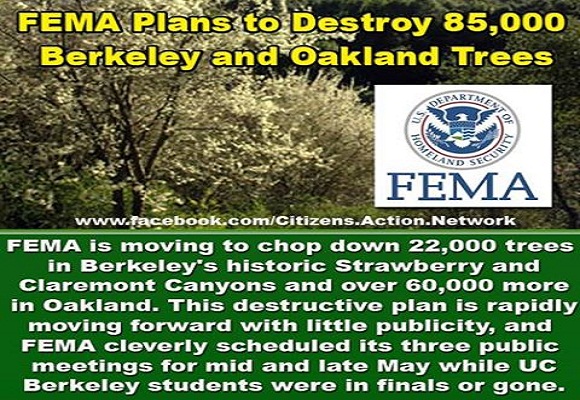 FEMA Plans Clear-Cutting 85,000 Berkeley and Oakland Trees