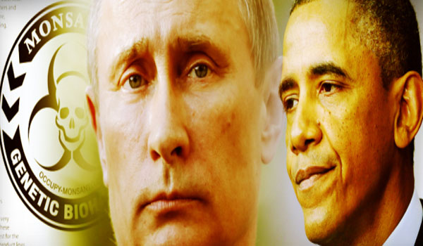 Russia Warns Obama Global War Over “Bee Apocalypse” Coming Very Soon