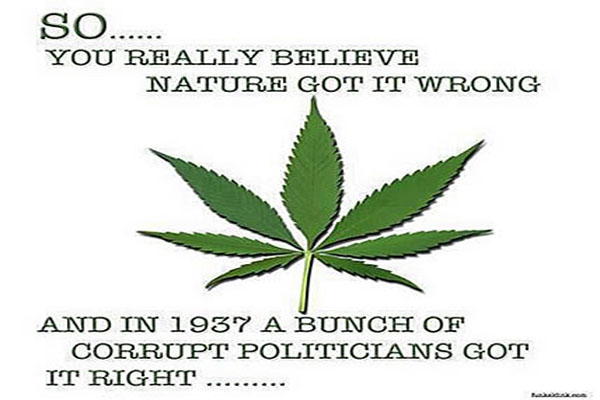 Still Believe Nature Got It Wrong Top 10 Health Benefits of Marijuana