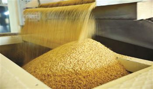 The Biosecurity Board has decided to ban the entry of 26 genetically modified organisms (GMOs) into Turkey amid ongoing debates about whether genetically modified rice passed through customs.