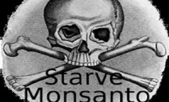 10 Ways to Starve a Multi-National GMO Conglomerate