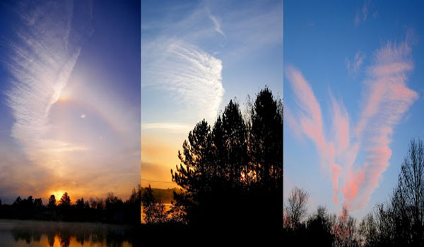 Are Chemtrails & Disease Pandemics linked to Pharmaceutical Companies and their Economic Growth