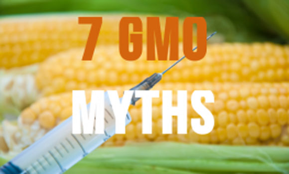 Top 7 Myths About GMO Foods & Monsanto