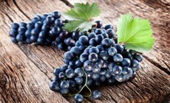 Grapeseed Extract Better than Chemo at Halting Advanced Cancer
