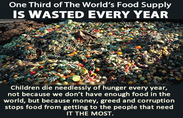More Than 30 Percent of The World’s Food Supply Is Wasted Every Year