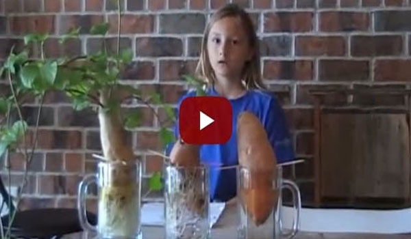 Video This kid explains in 2 minutes why organic is better!