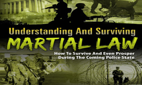 Surviving Martial Law