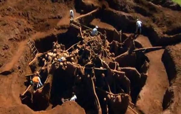 Video  Giant Ant Colony Excavated, You won’t believe what they build underground