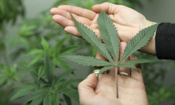 Alabama Governor Set To Approve Use Of Medical Marijuana