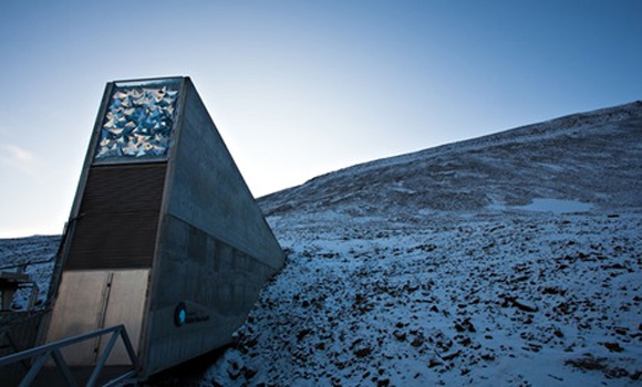 Brazilian beans and Japanese barley shipped to Svalbard seed vault