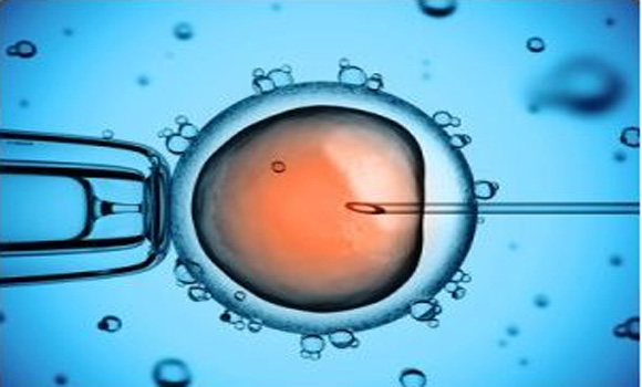 GMO Human Embryos Have Already Been Created