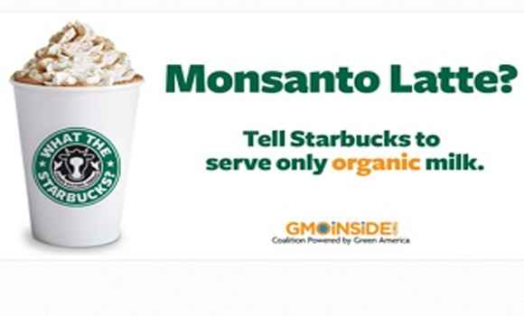Tell Starbucks to stop serving Monsanto no more GMOs in our lattes