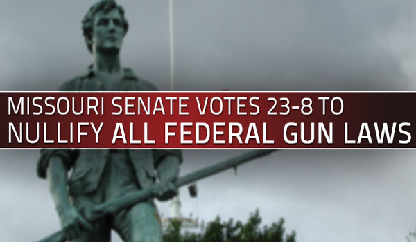Missouri Senate votes to nullify federal gun laws and regulations, 23-8