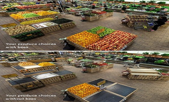 Shocking This Is What Your Grocery Would Look Like Without Bees