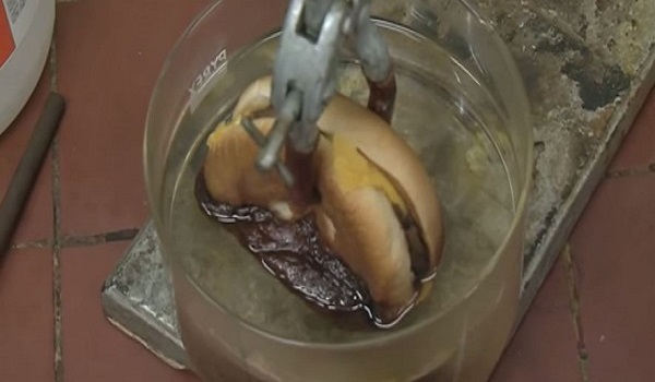 This is What Happens When You Dunk a McDonald’s Cheeseburger in Stomach Acid [WATCH]