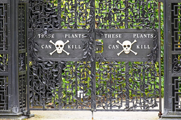 Step Inside the World's Most Dangerous Garden (If You Dare)