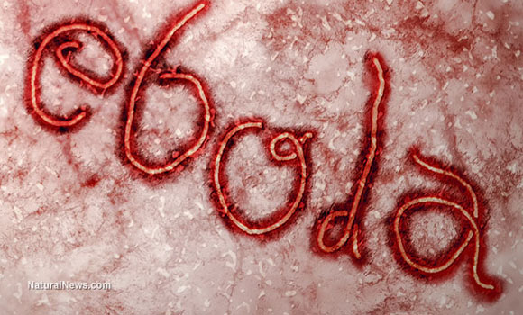 The five biggest lies about Ebola being pushed by government and mass media