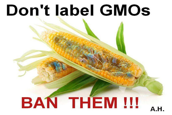 Labeling is a Bandaid – Ban GMOs Now!