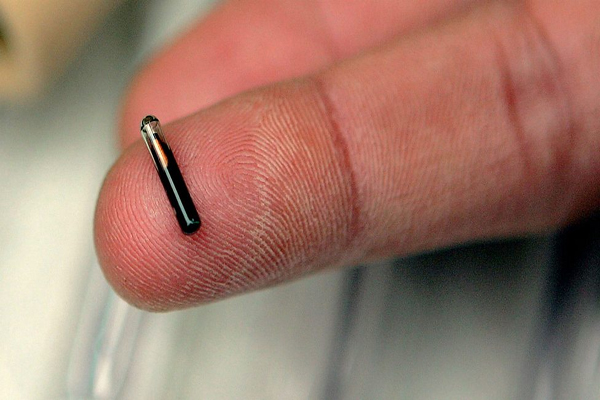 Would you microchip your children
