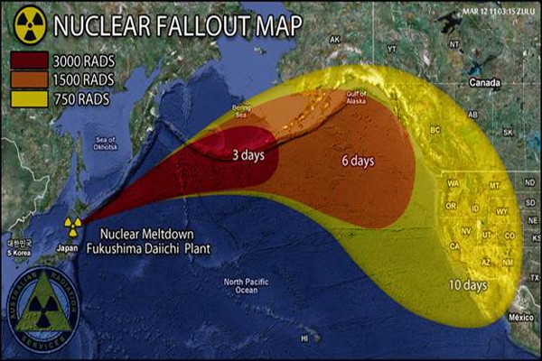 Nuclear Disaster in Fukushima and Death of the Pacific Ocean