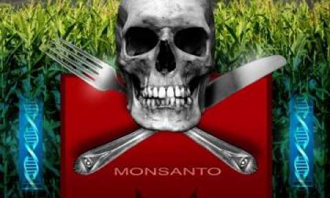 Monsanto’s Roundup is Killing Human Kidney Cells