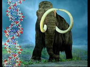 Scientists sign deal to clone mammoth