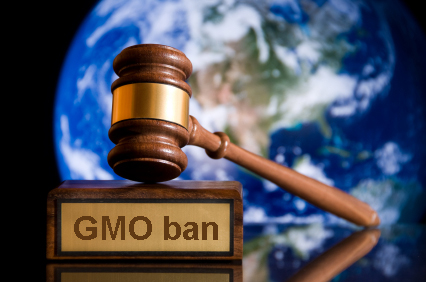 Monsanto Threatens Lawsuit Over GMO Labeling Bill