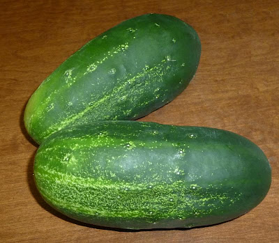 Survival Super Foods – Cucumbers