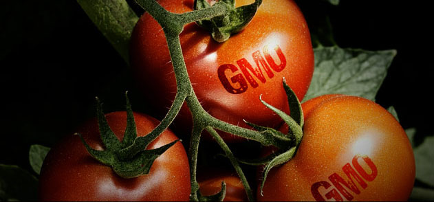 GMO alert: top 10 genetically modified foods to avoid eating