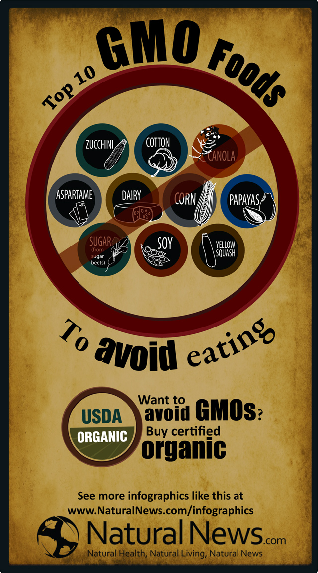 Infographic unveiled: Top Ten GMO Foods to Avoid Eating