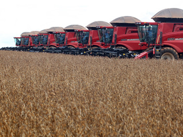Seeds of doubt: Brazilian farmers sue Monsanto