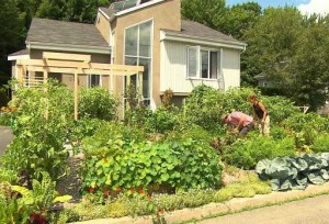 Authorities Seek to Destroy Couple’s Immaculate Edible Landscape