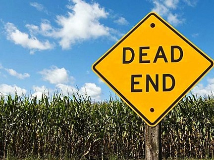 The Corn Is Dying All Over America