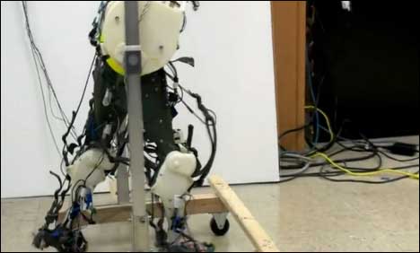 Video: Scientists Create Biologically Accurate Walking Robot Legs