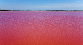 Extraordinary natural phenomenon which has turned a French beauty spot blood RED
