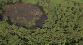 Louisiana probes cause of massive bayou sinkhole