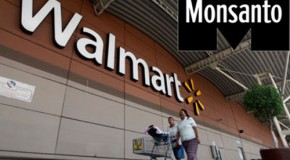 Walmart and Monsanto – the power of money in food